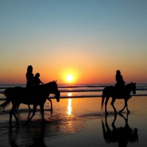 Horseback riding