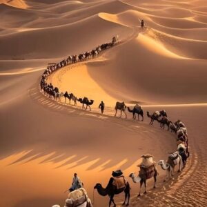 Dromadaire / Cheval