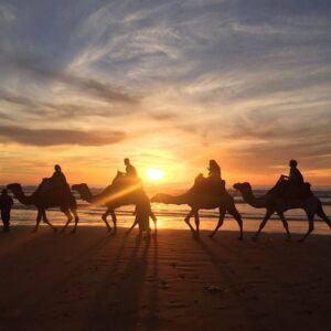 Barbecue Camel Ride from Agadir