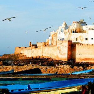 Essaouira Day Trip from Taghazout