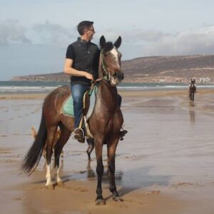 Beach Horse Ride Taghazout