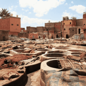 Marrakech Day Trip from Taghazout