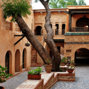 Visit The Agadir Medina