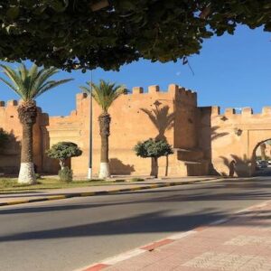 Taroudant & Tiout Day Trip from Taghazout